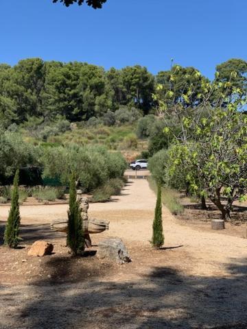 Le Petit Chene Villa Le Castellet  Bagian luar foto